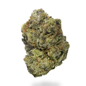 ASTRO PINK AAAAA + 7g Indica